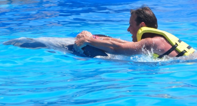  与海豚一起游泳 